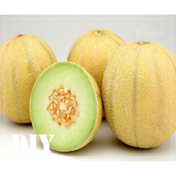 Essência Melão  Honeydew